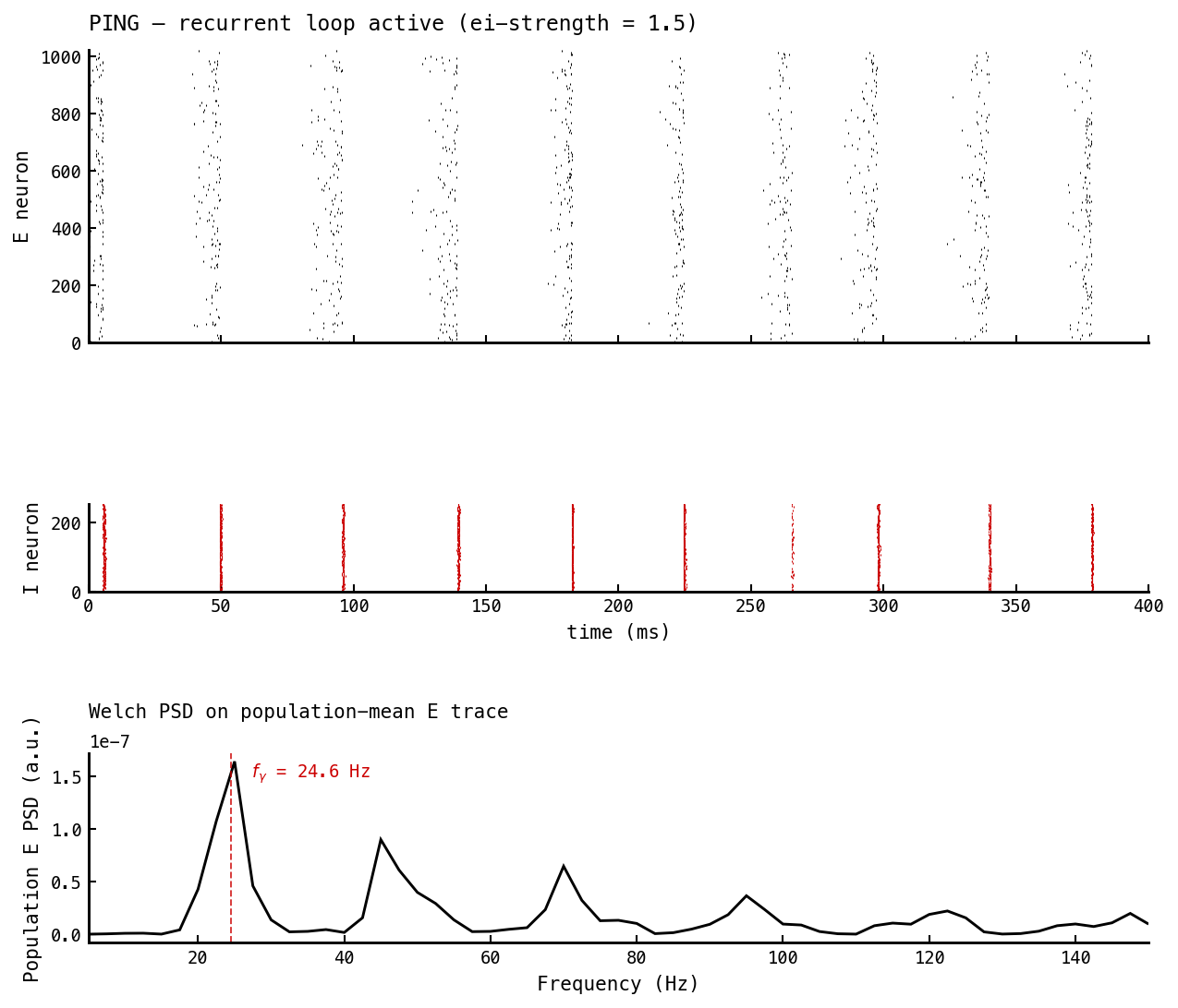 Three-panel figure. Top: E spike raster across 400 ms showing vertical bands every ~45 ms. Middle: I spike raster showing synchronous bursts trailing each E-burst. Bottom: Welch PSD on the population-mean E trace, sharp gamma peak at f_γ ≈ 24 Hz marked with a dashed vertical line, with harmonics at ≈ 48, 72, 96, and 120 Hz.