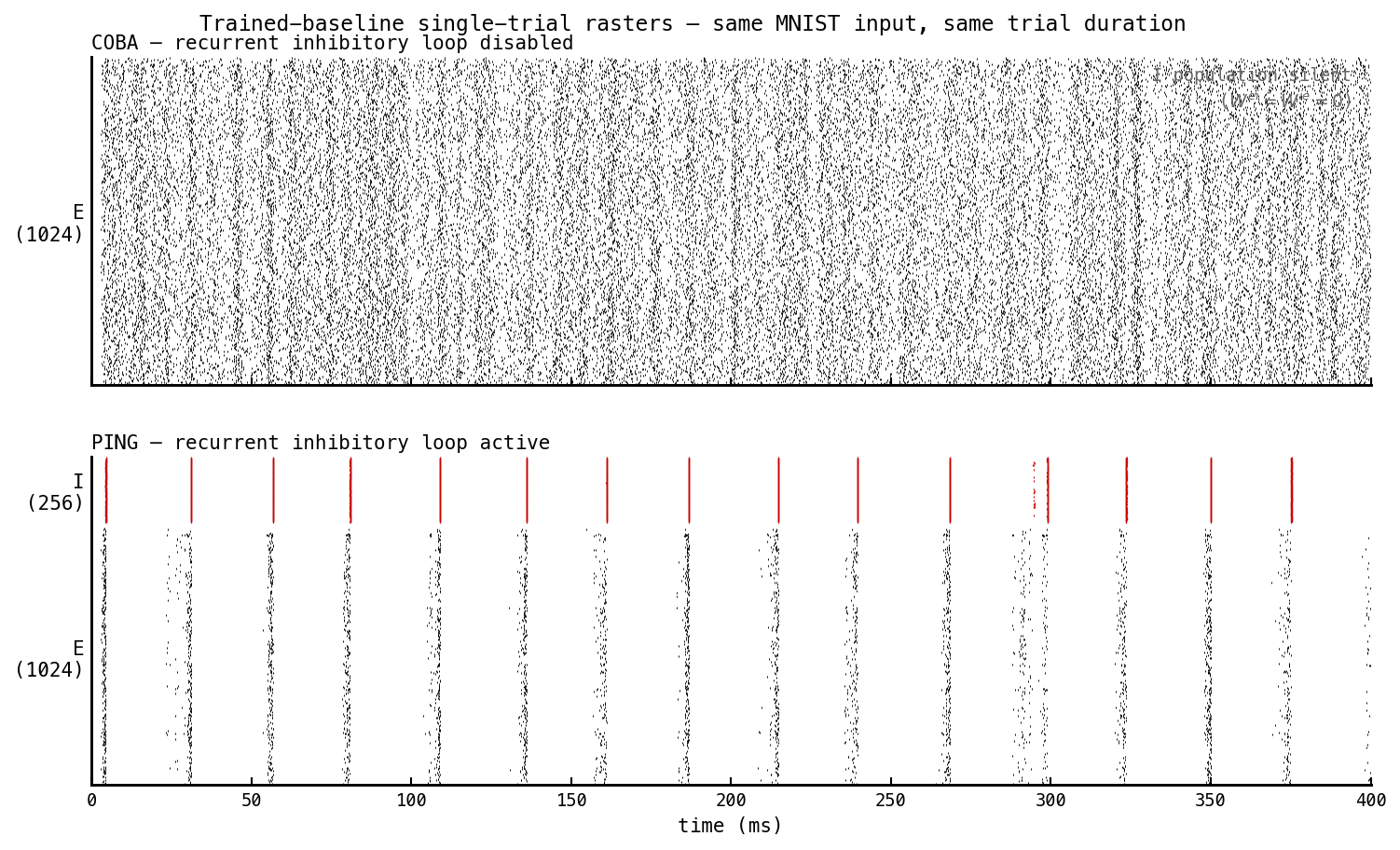 Two-panel raster figure with shared x-axis (time, 0 to 400 ms). Top panel: trained COBA (recurrent inhibitory loop disabled, ei-strength = 0). Dense asynchronous E firing across all 1024 cells over the entire 400 ms trial; I population labelled silent because W^ei and W^ie are both zero. Bottom panel: trained PING (recurrent inhibitory loop active, ei-strength = 1). E population (1024 cells, black) shows vertical bands at ≈ 28 ms gamma cadence — most cells silent between bursts. I population (256 cells, red, shown above E) shows synchronous bursts trailing each E-burst by a short AMPA delay.