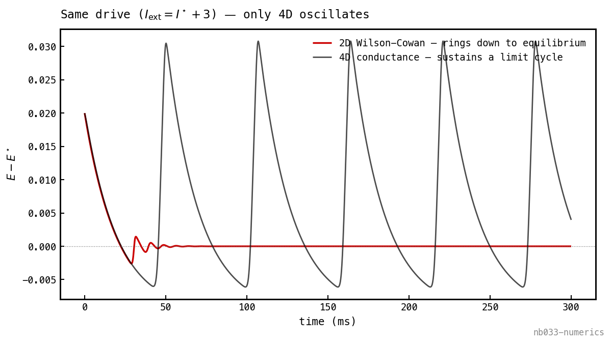 Time series of E (deviation from equilibrium) over 300 ms at a fixed supra-threshold drive. The 2D Wilson-Cowan trace (red) oscillates briefly then decays to a flat line at zero. The 4D conductance trace (black) grows from the same initial perturbation into a sustained, constant-amplitude oscillation.