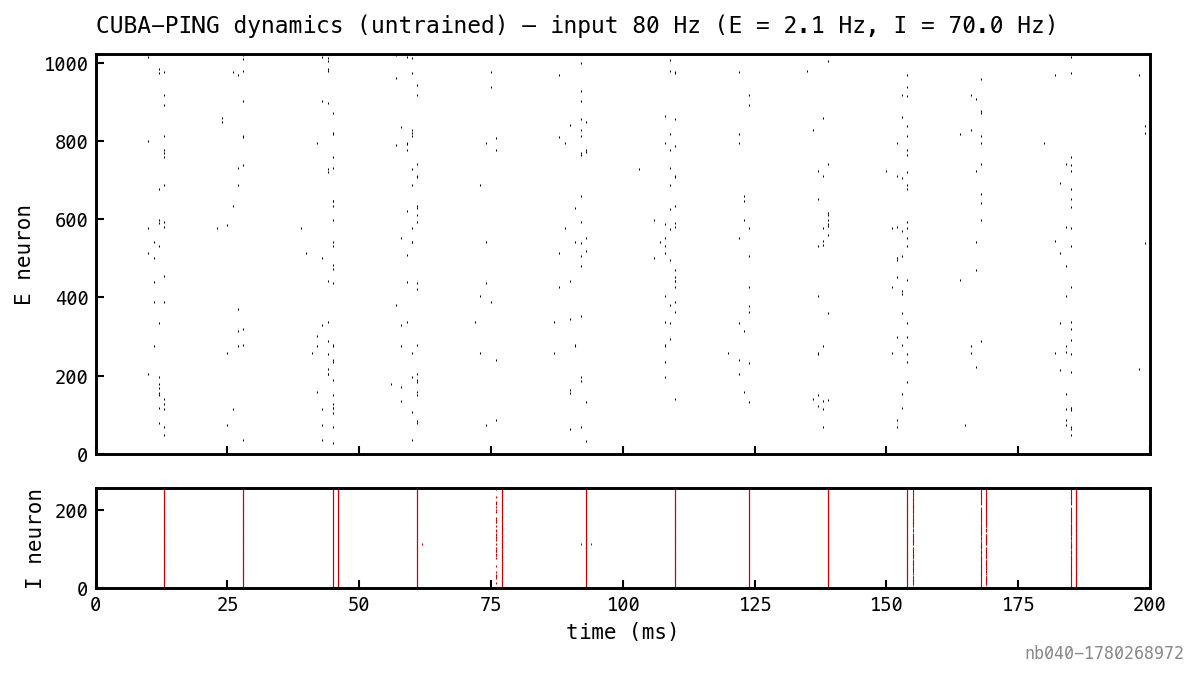 Two-panel raster of CUBA-PING at uniform 80 Hz Poisson input. E neurons fire in sparse, time-locked bursts; I neurons fire in narrow synchronous bursts immediately following each E burst.