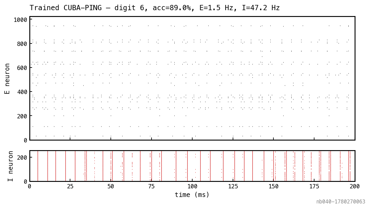 Two-panel raster of the trained network replayed on a single test trial. E neurons fire sparsely; I neurons fire in periodic bursts.