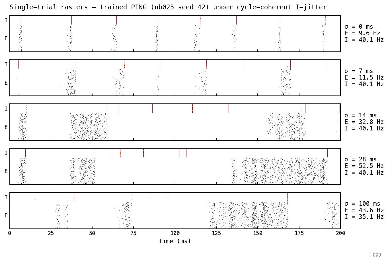 Five stacked single-trial raster panels for cycle-coherent jitter σ values 0, 7, 14, 28, 100 ms. Each panel shows E spikes (black) and I spikes (red) over the 200 ms trial. At σ = 0 the gamma bands are clean with bursts every ≈ 28 ms. The I-bursts remain crisp vertical bands at every σ — their within-burst synchrony is preserved — but the bands are bodily displaced from their phase-locked positions. At σ = 7 ms bursts are visibly shifted by a few ms. At σ = 14 ms shifts of tens of ms decouple bursts from the cycle and open long gaps in the I-stream, through which E fires densely. At σ = 28 and 100 ms the bursts land at essentially random times across the trial and adjacent bursts can overlap.