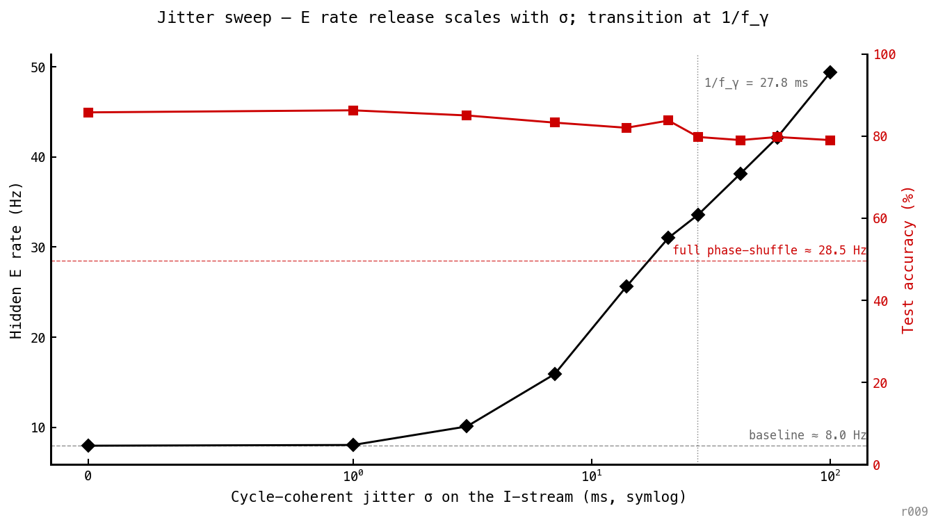 E rate (black) and accuracy (red) as Gaussian jitter σ is swept from 0 to 100 ms. E rate sits at the ≈ 8 Hz baseline for σ ≤ 1 ms, transitions through 16 Hz at σ = 7 ms and 26 Hz at σ = 14 ms, crosses the full-phase-shuffle reference line of ≈ 29 Hz between σ = 14 and 21 ms, and rises to ≈ 49 Hz at σ = 100 ms. Accuracy stays at 79–86% throughout. A vertical dotted line at σ ≈ 28 ms marks the predicted inflection 1/f_γ at the trained operating point.