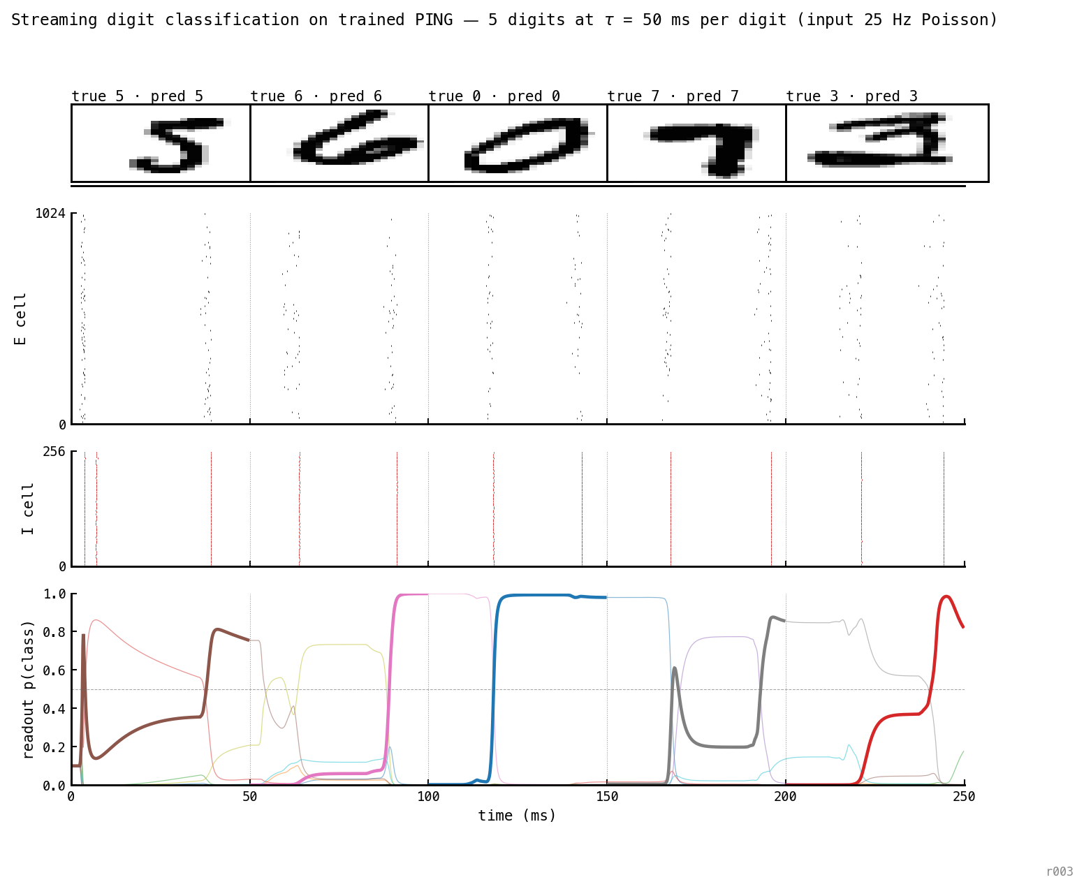 Four-panel column figure showing streaming digit classification on trained PING. Top: five MNIST digits (5, 6, 0, 7, 3) shown as thumbnails, each labelled with the true and predicted class — all 5/5 correct. Second panel: hidden E raster across 250 ms, showing gamma cycles at ≈ 28 ms cadence; vertical dotted lines mark the 5 segment boundaries. Third panel: hidden I raster, also at gamma cadence. Bottom panel: 10-class readout probability over time; the true-class trace is highlighted thick in its colour and reaches near 1.0 within each segment, with rapid transitions at each digit boundary.